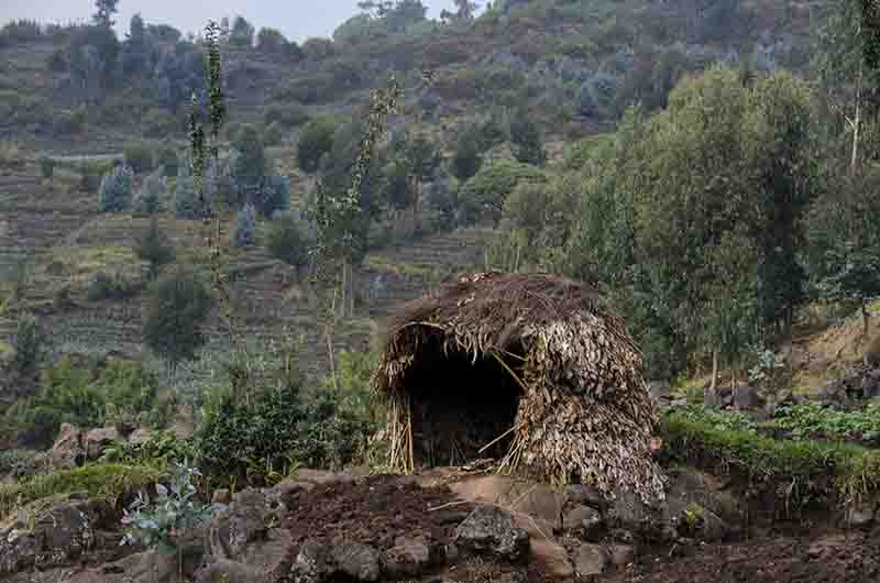 23 - Ruanda - parque nacional de los volcanes - paisaje